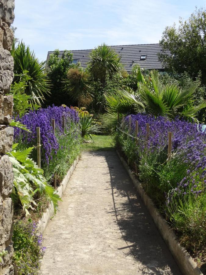 Gite "Rose Des Sables" - 800M De La Plage De Surtainville, Proche Commerces - Piscine En Juillet Et Aout 객실 사진