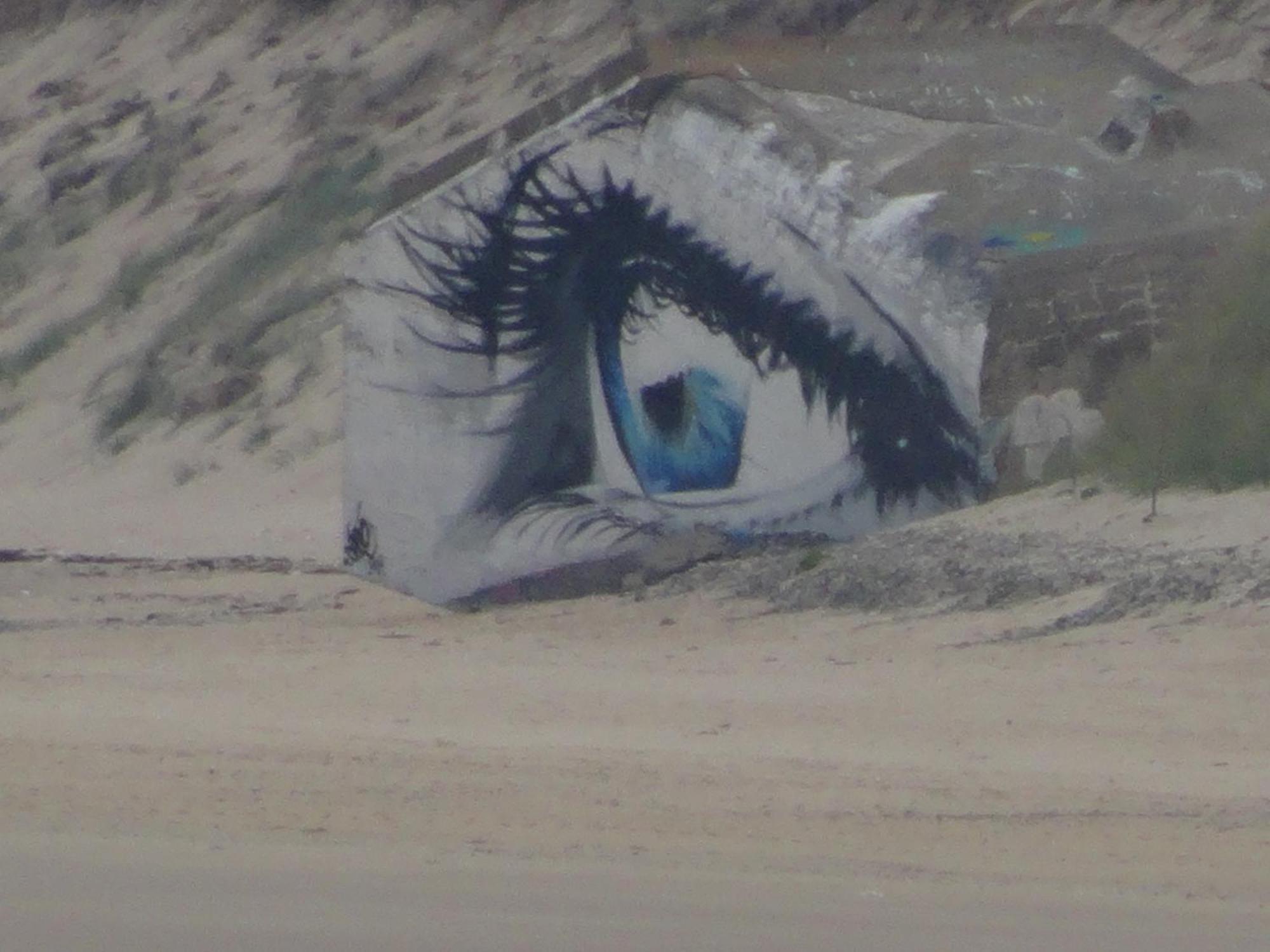 Gite "Rose Des Sables" - 800M De La Plage De Surtainville, Proche Commerces - Piscine En Juillet Et Aout 외부 사진
